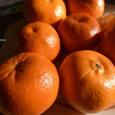 Orange,Jual Jeruk Di Tangerang,Jual Buah Grosir Di Tangerang
