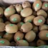 Jual Kiwi Di Tangerang,Jual Buah Grosir Di Tangerang