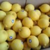 Jual Lemon Di Tangerang,Jual Buah Grosir Di Tangerang
