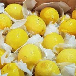 Jual Lemon Di Tangerang,Jual Buah Grosir Di Tangerang