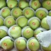 Jual Pear Di Tangerang,Jual Buah Grosir Di Tangerang