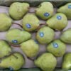 Jual Pear Di Tangerang,Jual Buah Grosir Di Tangerang