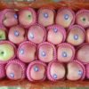 Jual Apel Di Tangerang,Jual Buah Grosir Di Tangerang