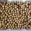 Jual Lengkeng Di Tangerang,Jual Buah Grosir Di Tangerang