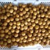 Jual Lengkeng Di Tangerang,Jual Buah Grosir Di Tangerang
