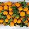 Jual Jeruk Di Tangerang,Jual Buah Grosir Di Tangerang
