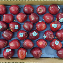 Jual Apel Di Tangerang,Jual Buah Grosir Di Tangerang