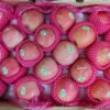 Jual Apel Di Tangerang,Jual Buah Grosir Di Tangerang