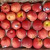 Jual Apel Di Tangerang,Jual Buah Grosir Di Tangerang
