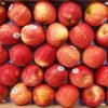 Jual Apel Di Tangerang,Jual Buah Grosir Di Tangerang