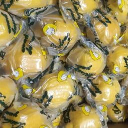 Jual Lemon Di Tangerang,Jual Buah Grosir Di Tangerang