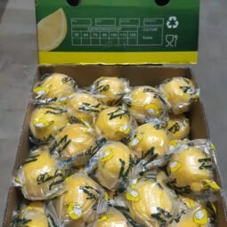 Jual Lemon Di Tangerang,Jual Buah Grosir Di Tangerang
