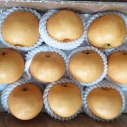 Jual Pear Di Tangerang,Jual Buah Grosir Di Tangerang