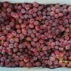 Jual Anggur Di Tangerang,Jual Buah Grosir Di Tangerang
