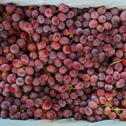 Jual Anggur Di Tangerang,Jual Buah Grosir Di Tangerang