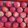 Jual Apel Di Tangerang,Jual Buah Grosir Di Tangerang