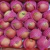 Jual Apel Di Tangerang,Jual Buah Grosir Di Tangerang