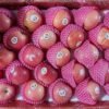 Jual Apel Di Tangerang,Jual Buah Grosir Di Tangerang
