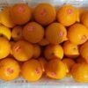 Orange,Jual Jeruk Di Tangerang,Jual Buah Grosir Di Tangerang