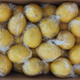 Jual Lemon Di Tangerang,Jual Buah Grosir Di Tangerang