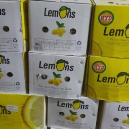 Jual Lemon Di Tangerang,Jual Buah Grosir Di Tangerang
