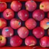 Jual Apel Di Tangerang,Jual Buah Grosir Di Tangerang