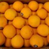 Orange,Jual Jeruk Di Tangerang,Jual Buah Grosir Di Tangerang