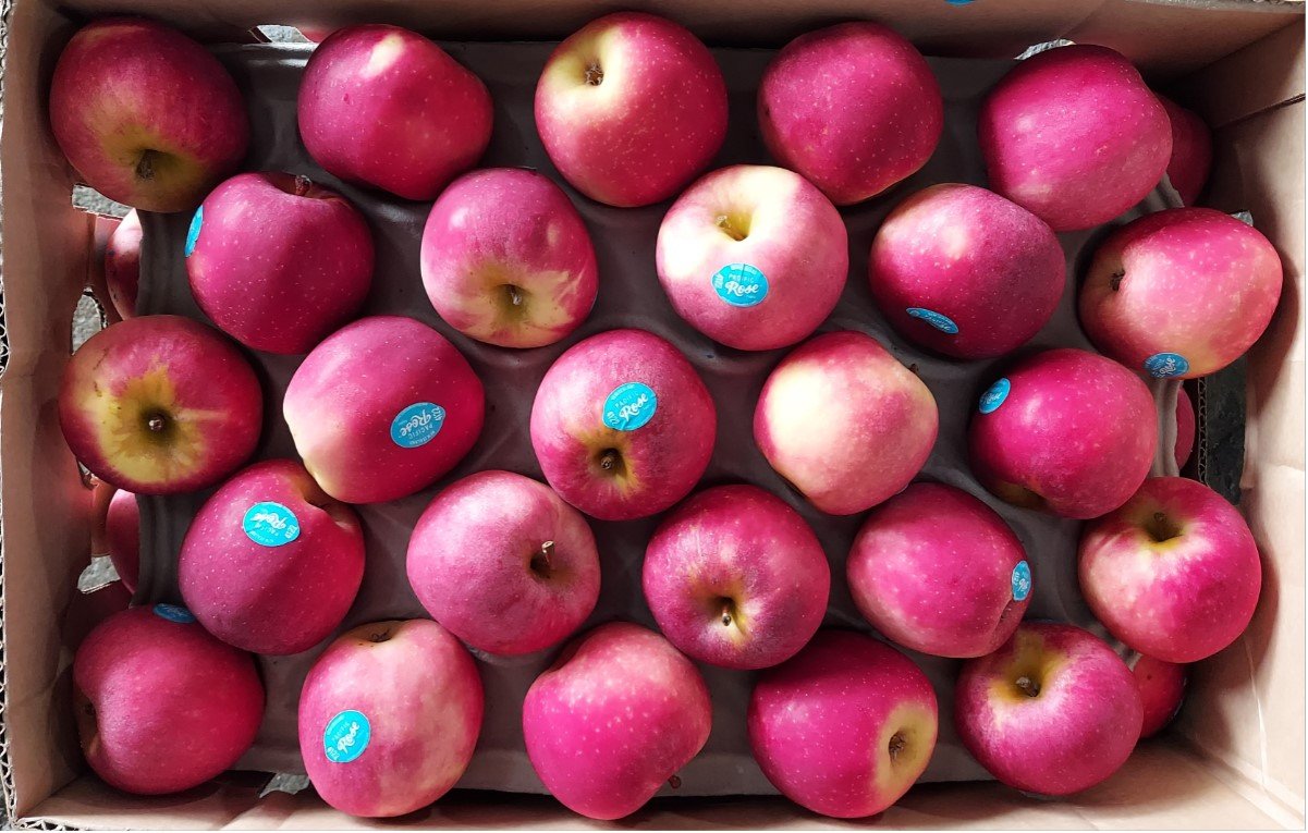 Jual Apel Di Tangerang,Jual Buah Grosir Di Tangerang Jual Apel Di Tangerang,Jual Buah Grosir Di Tangerang