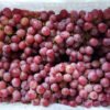 Jual Anggur Di Tangerang,Jual Buah Grosir Di Tangerang