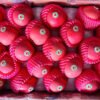 Jual Apel Di Tangerang,Jual Buah Grosir Di Tangerang