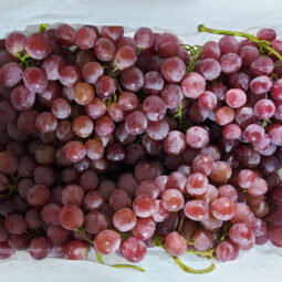 Jual Anggur Di Tangerang,Jual Buah Grosir Di Tangerang