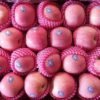 Jual Apel Di Tangerang,Jual Buah Grosir Di Tangerang