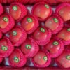 Jual Apel Di Tangerang,Jual Buah Grosir Di Tangerang