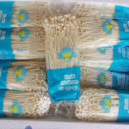 Jual Enoki Di Tangerang