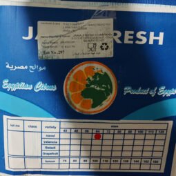 Orange,Jual Jeruk Di Tangerang,Jual Buah Grosir Di Tangerang