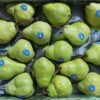 Jual Pear Di Tangerang,Jual Buah Grosir Di Tangerang