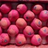 Jual Apel Di Tangerang,Jual Buah Grosir Di Tangerang