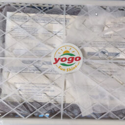 Jual Anggur Di Tanah Tinggi,Jual Anggur Di Lampung,Jual Anggur Di Serang Banten