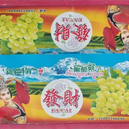 Jual Anggur Di Tanah Tinggi,Jual Anggur Di Lampung,Jual Anggur Di Serang Banten