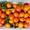 ,Jual Jeruk Di Tangerang,Jual Buah Grosir Di Tangerang